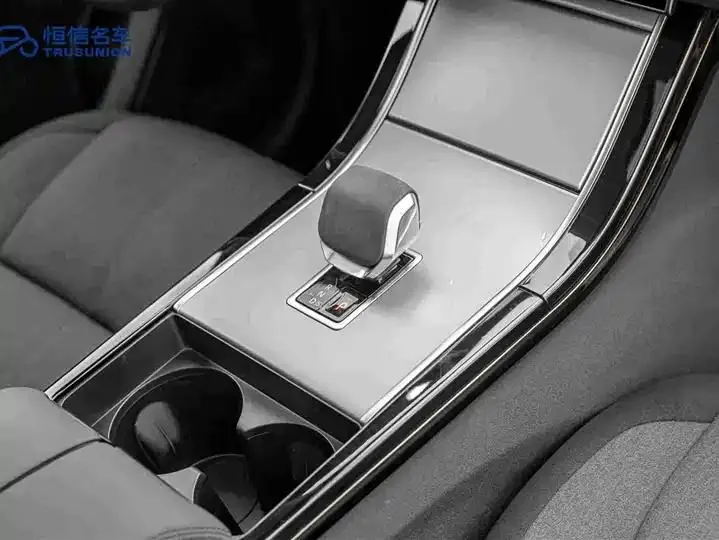 Range Rover Star Vein 2024 S 19
