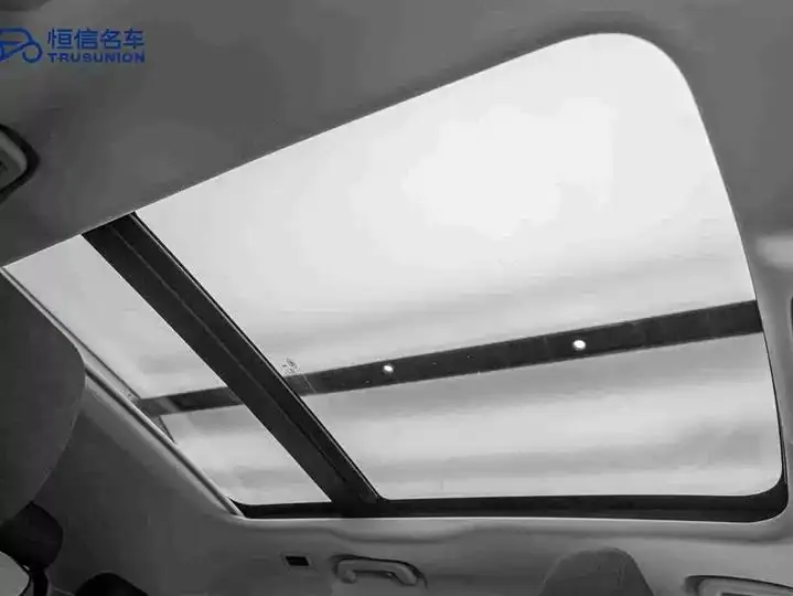 Range Rover Star Vein 2024 S 20