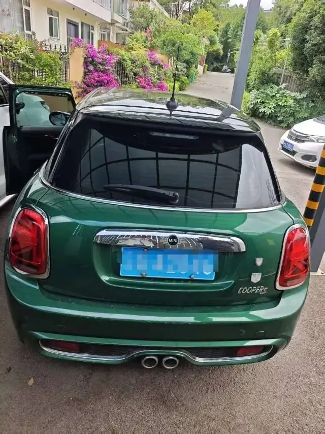 MINI 2020 2.0T COOPER S Artist Five Door Edition 4