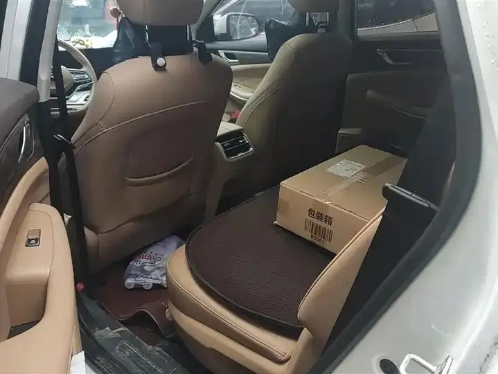 LanDian E5 2024 Glory Edition 100KM Exclusive 7-seat 11