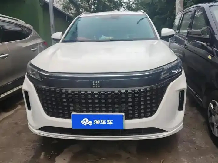 LanDian E5 2024 Glory Edition 100KM Exclusive 7-seat 2