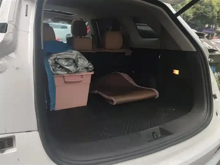 LanDian E5 2024 Glory Edition 100KM Exclusive 7-seat 4