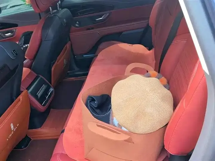 Voyager 2023 2.0T 4-wheel drive Zunrui Edition 11