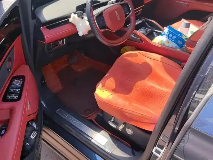 Voyager 2023 2.0T 4-wheel drive Zunrui Edition 9