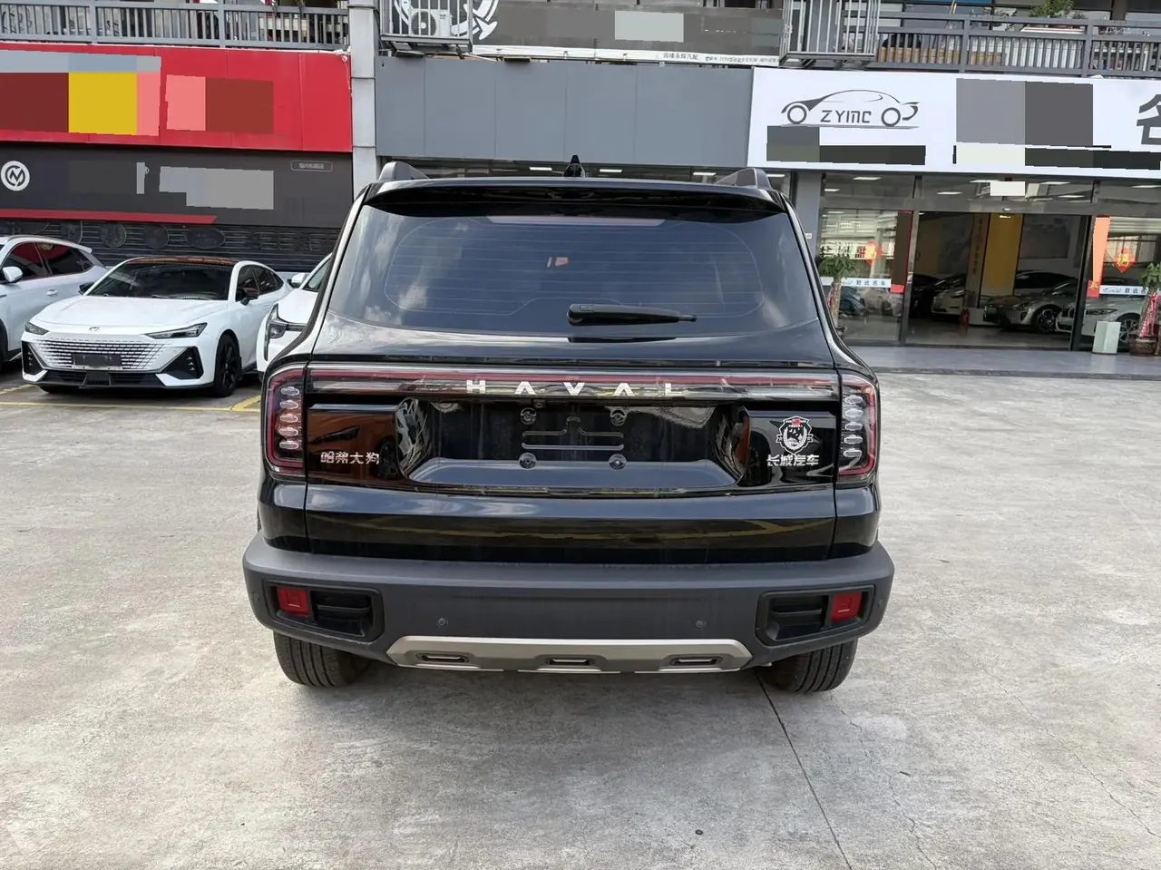 Haval Big Dog 2022 1.5T DCT Two-Drive Border Pastoral Edition 9