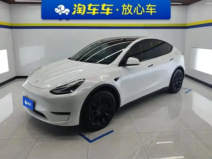 2021 Model Y Standard Range Rear-Wheel Drive Edition - View 1