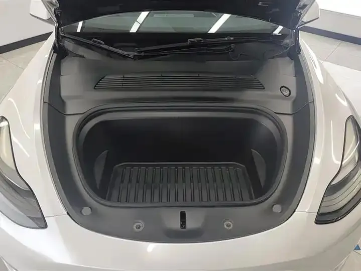 2021 Model Y Standard Range Rear-Wheel Drive Edition 10
