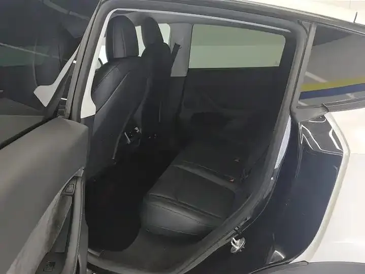2021 Model Y Standard Range Rear-Wheel Drive Edition 11