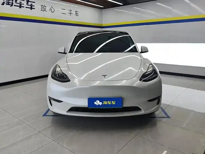 2021 Model Y Standard Range Rear-Wheel Drive Edition 2