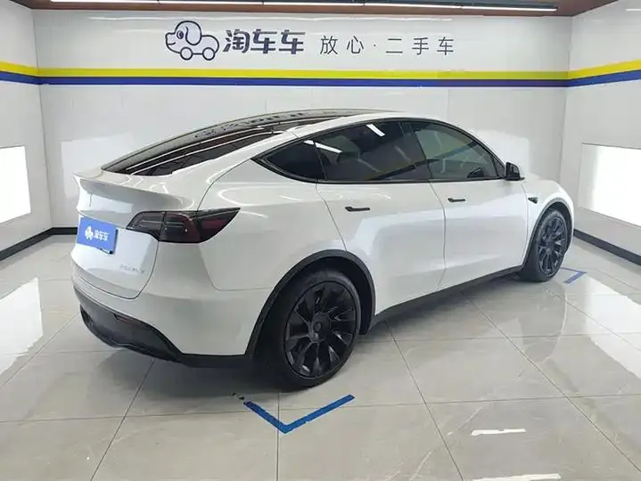 2021 Model Y Standard Range Rear-Wheel Drive Edition 3