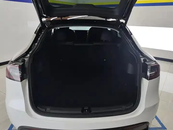 2021 Model Y Standard Range Rear-Wheel Drive Edition 4