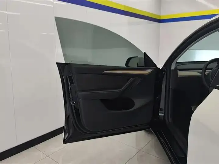 2021 Model Y Standard Range Rear-Wheel Drive Edition 7
