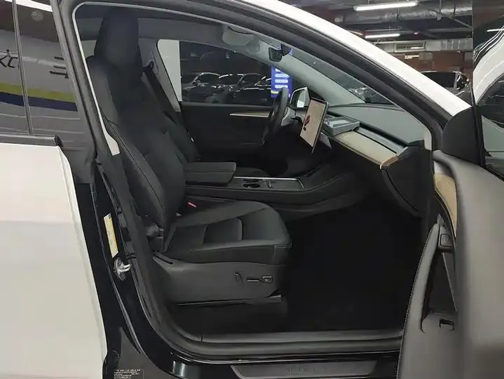 2021 Model Y Standard Range Rear-Wheel Drive Edition 8