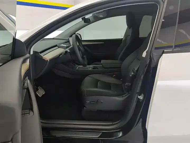 2021 Model Y Standard Range Rear-Wheel Drive Edition 9