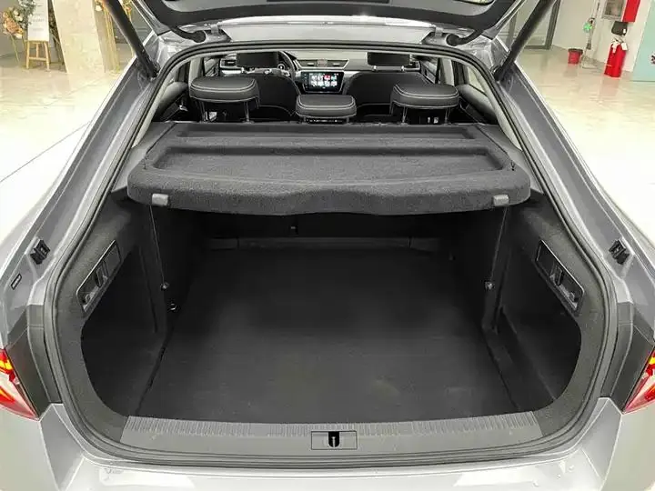 Express 2023 model change TSI280 DSG exclusive edition 16