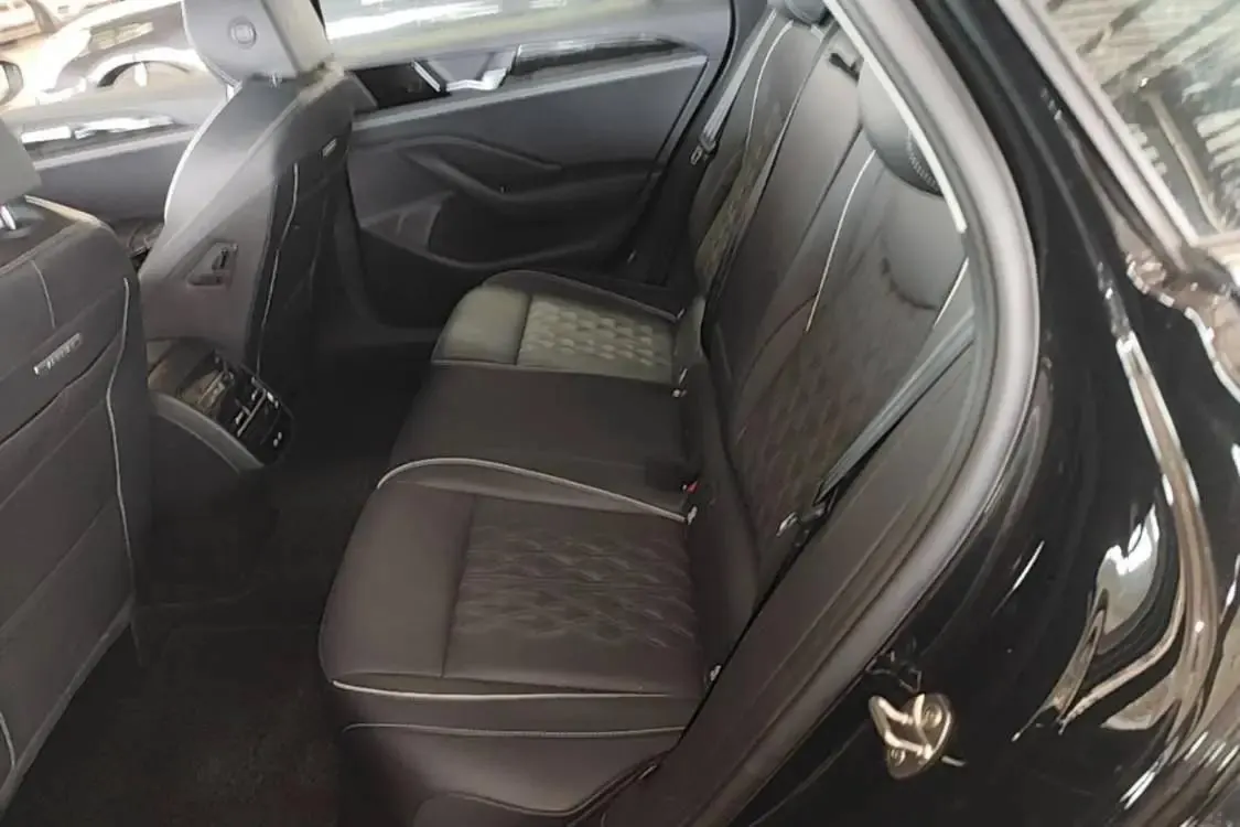 Volkswagen 2024 Magotan 2.0TSI 380TSI Premium Edition Da Mai Bag Automatic Gear 7