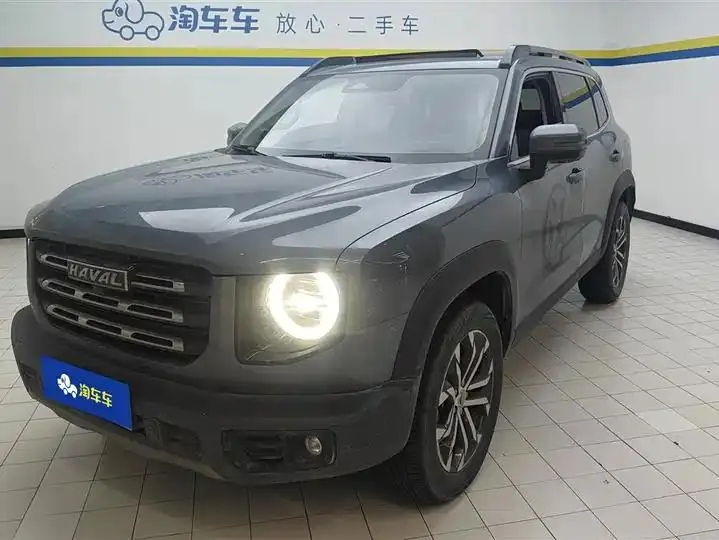 Haval Big Dog 2021 1.5T DCT Two-Wheel-Drive Border Collie Edition - View 1