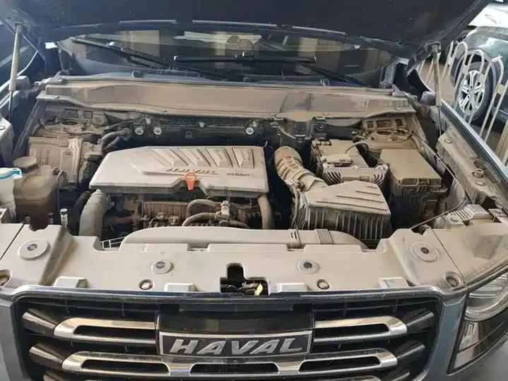Haval Big Dog 2021 1.5T DCT Two-Wheel-Drive Border Collie Edition 10