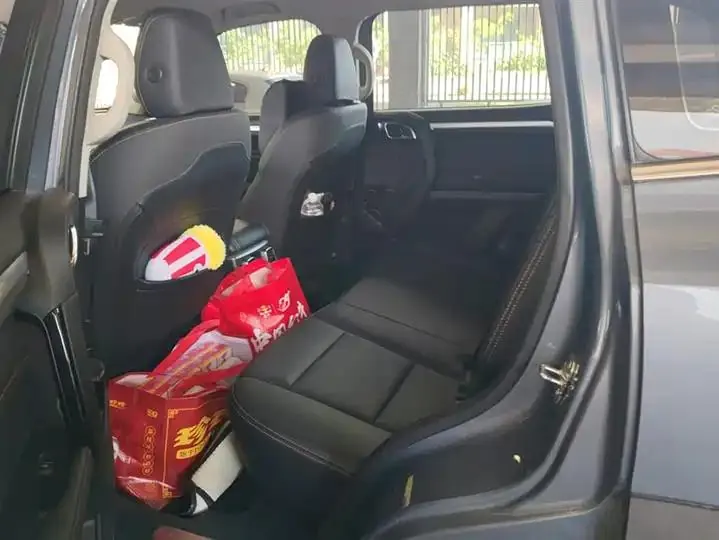 Haval Big Dog 2021 1.5T DCT Two-Wheel-Drive Border Collie Edition 11
