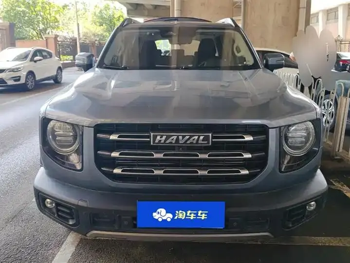 Haval Big Dog 2021 1.5T DCT Two-Wheel-Drive Border Collie Edition 2