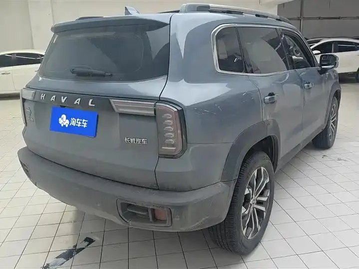 Haval Big Dog 2021 1.5T DCT Two-Wheel-Drive Border Collie Edition 3
