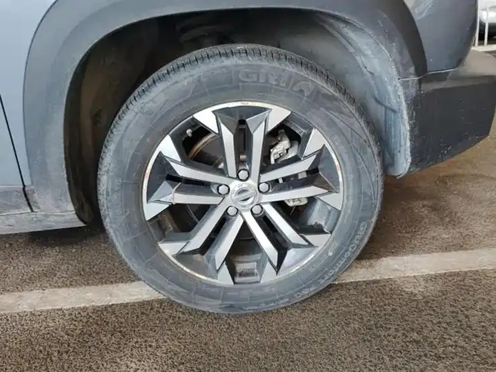 Haval Big Dog 2021 1.5T DCT Two-Wheel-Drive Border Collie Edition 6