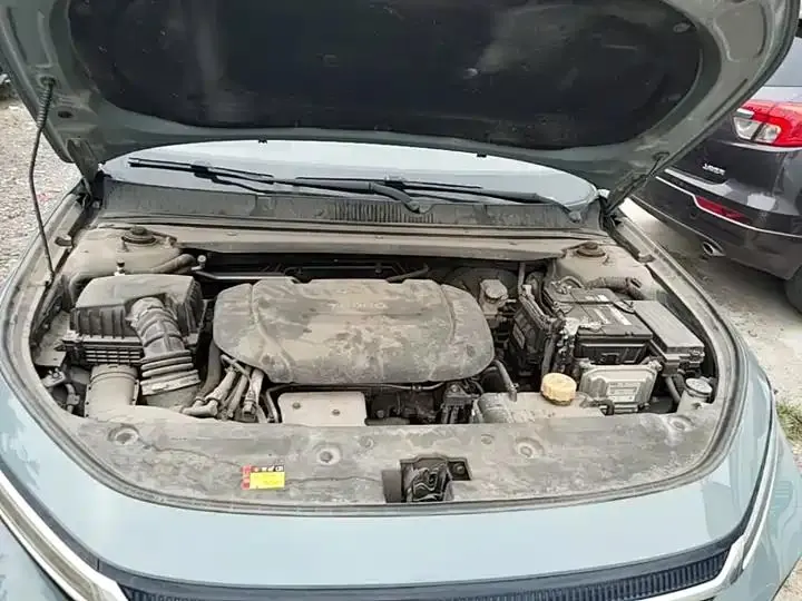 BaoJun Valli 2021 1.5T Naqu Star CVT Flagship 20