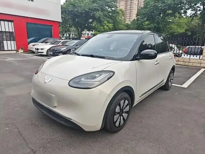 WuLing Plantronics 2023 203km Comfortable 2