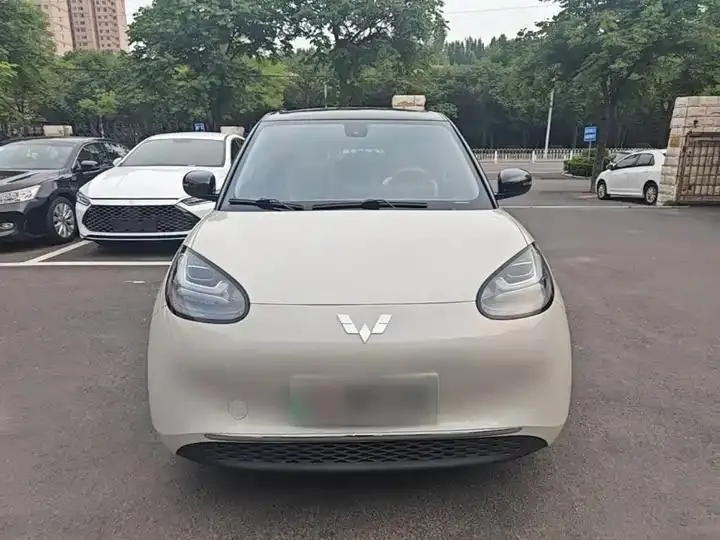 WuLing Plantronics 2023 203km Comfortable 3