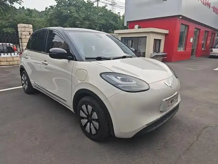 WuLing Plantronics 2023 203km Comfortable 4