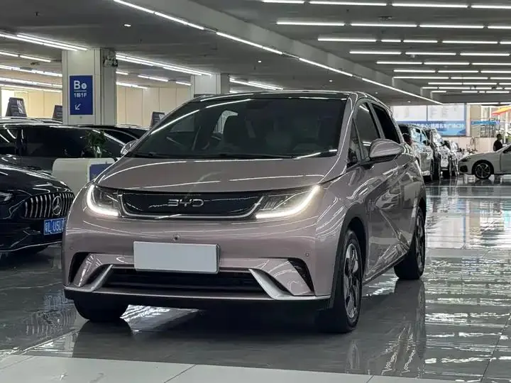 Dolphin 2024 Glory Edition 420km Fashion Version - View 1