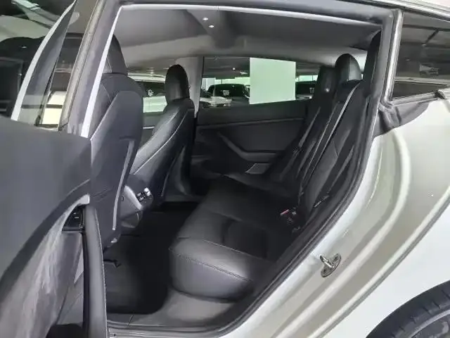 2020 Model 3 Standard Range Rear-Wheel Drive Upgrade Version 5