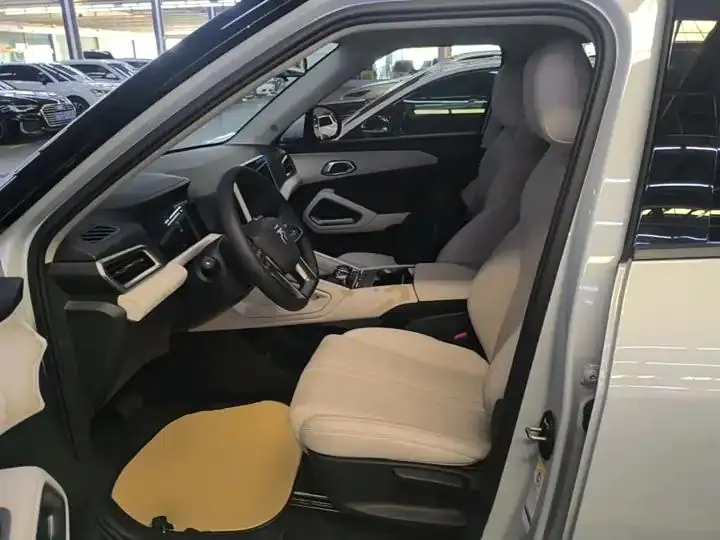Original UP 2024 Model 401km Leading Edition 15