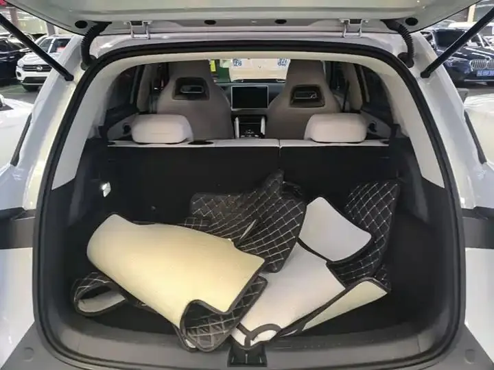 Original UP 2024 Model 401km Leading Edition 19