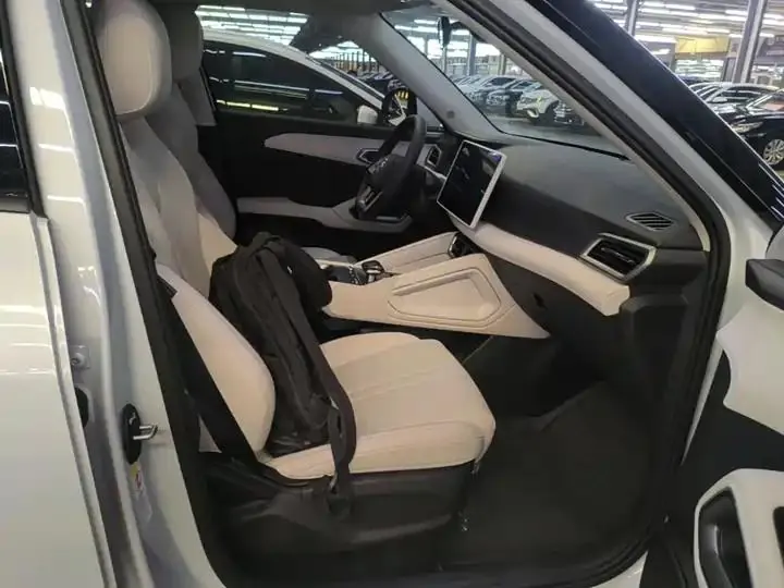 Original UP 2024 Model 401km Leading Edition 25