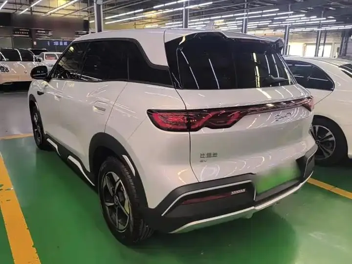 Original UP 2024 Model 401km Leading Edition 5