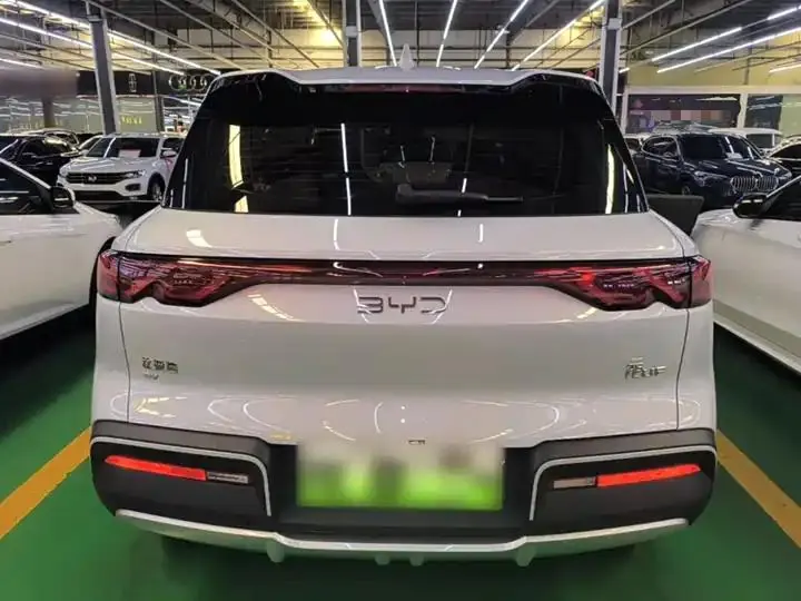 Original UP 2024 Model 401km Leading Edition 6