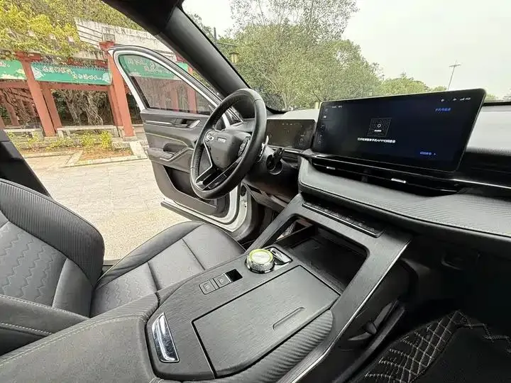 Haval H6S 2022 2.0T Two-wheel Drive Yue Run Edition 11