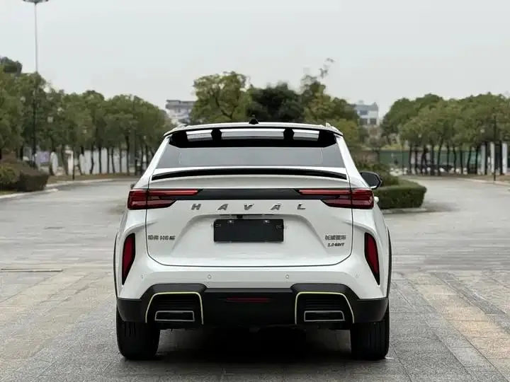 Haval H6S 2022 2.0T Two-wheel Drive Yue Run Edition 6