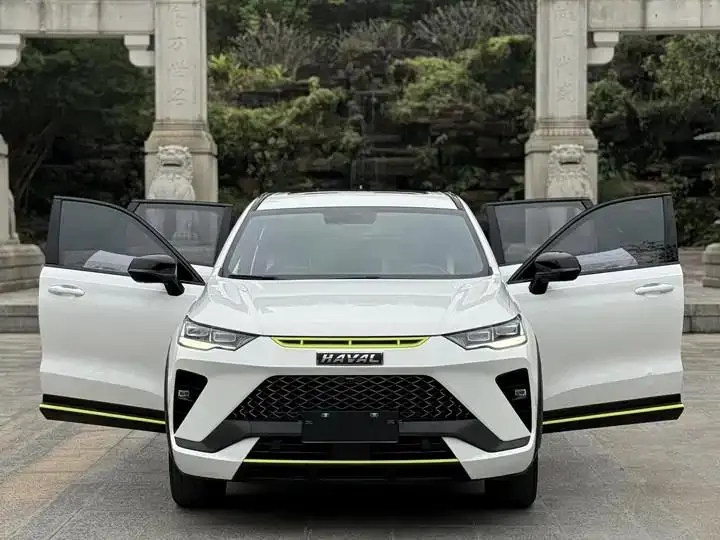 Haval H6S 2022 2.0T Two-wheel Drive Yue Run Edition 7