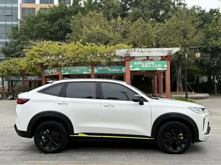Haval H6S 2022 2.0T Two-wheel Drive Yue Run Edition 9