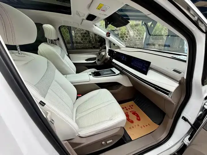 Everyone 2024 Model 605km Alpine Extended Range Version, Seven-Seater 11