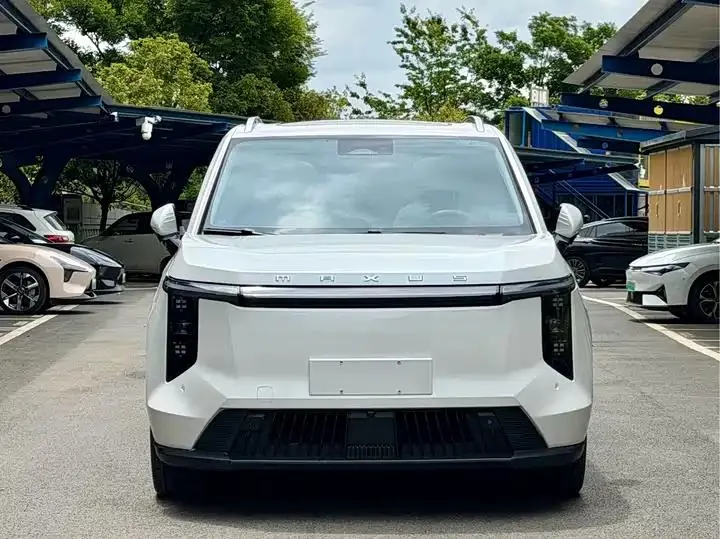 Everyone 2024 Model 605km Alpine Extended Range Version, Seven-Seater 2