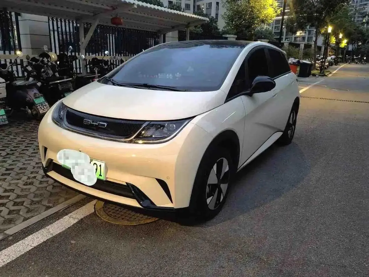 BYD 2023 Dolphin 420km Fashion Edition Automatic - View 1