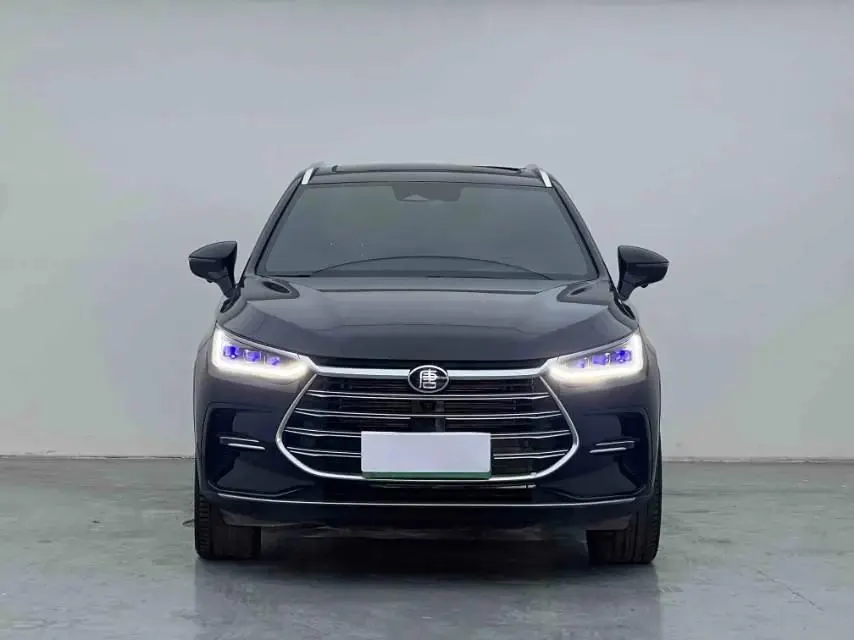 Tang New Energy 2022 DM-i 252KM Prestige Edition 2