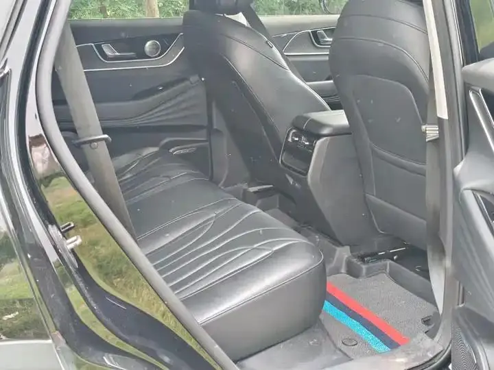 Fengyun T9 2024 120 Long Life Luxury 5-seat Ternary Lithium 6