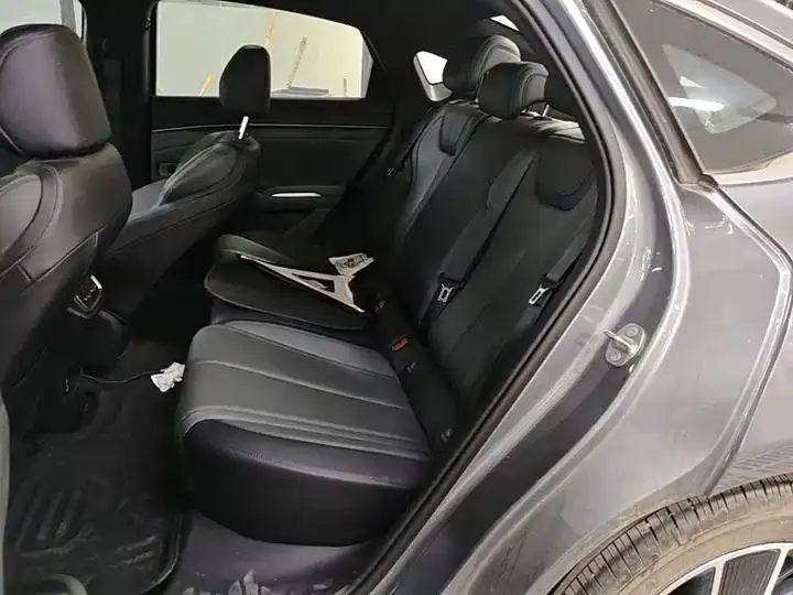 Qin L 2025 DM-i smart driving version 80KM Exceed 17