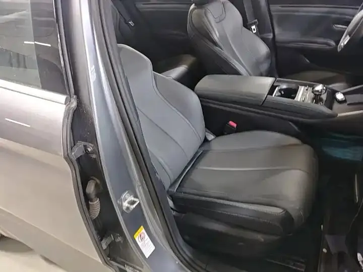 Qin L 2025 DM-i smart driving version 80KM Exceed 25