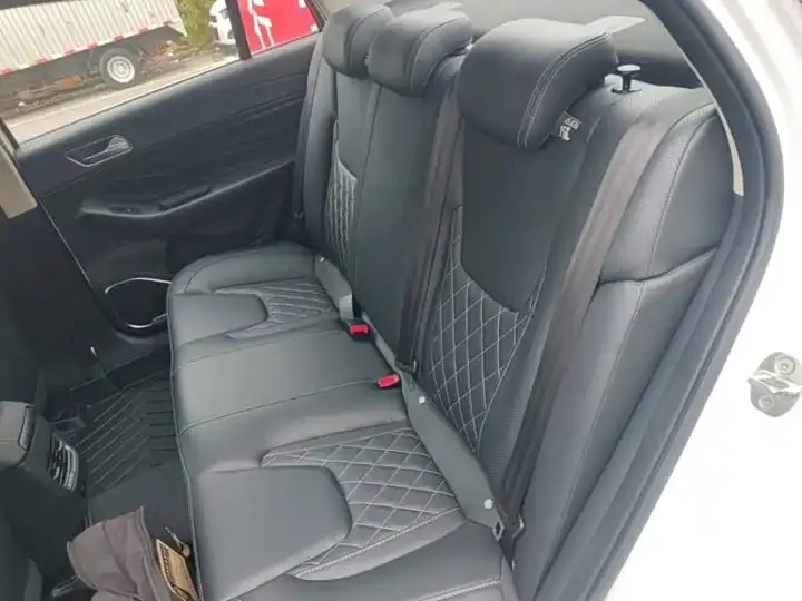 Erez GX 2019 Pro 1.5T Manual Color Edition Country VI 17