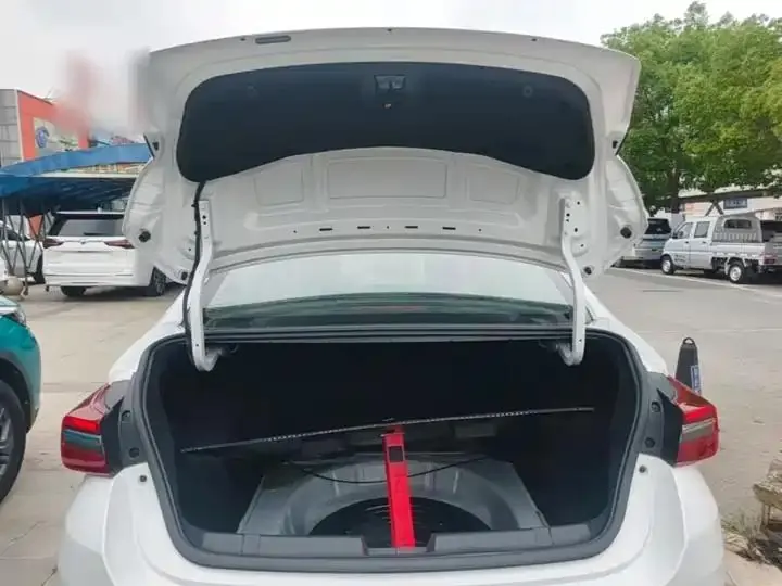 Erez GX 2019 Pro 1.5T Manual Color Edition Country VI 19